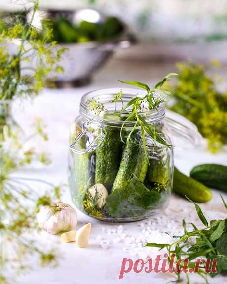 СМОТРИТЕ: Готовлю вкусные и хрустящие малосольные огурцы в пакете. Делюсь быстрым способом приготовления
