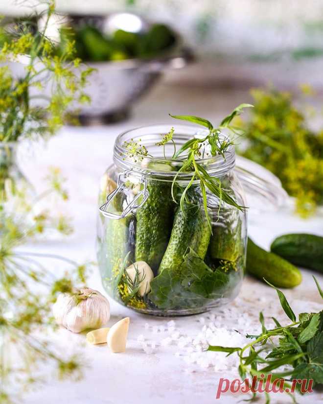 СМОТРИТЕ: Готовлю вкусные и хрустящие малосольные огурцы в пакете. Делюсь быстрым способом приготовления