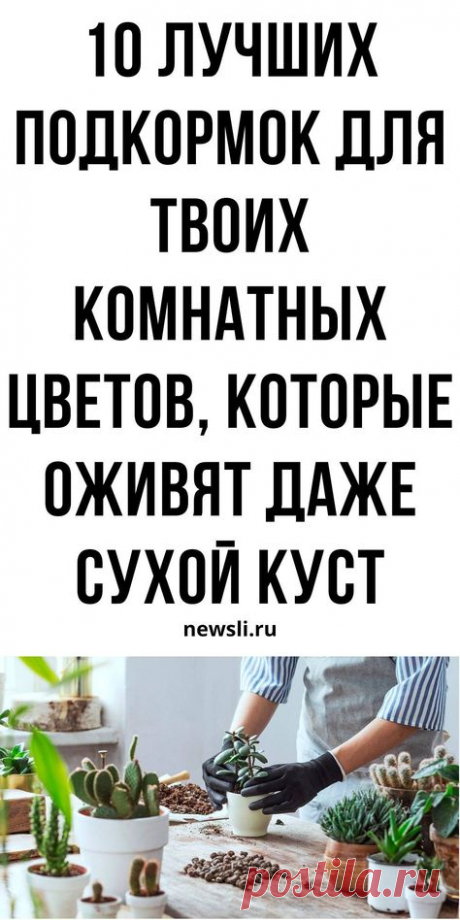 Почта Mail.ru