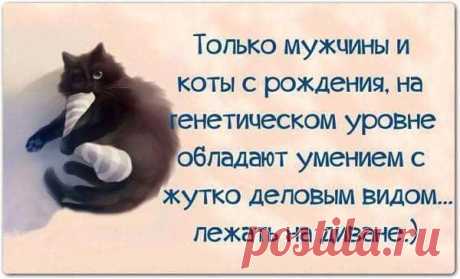 Шпильки | Женский Журнал - Группы Мой Мир