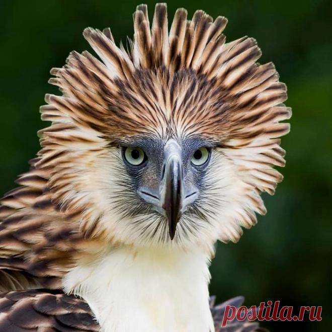 (21) Живая Земля - Публикации