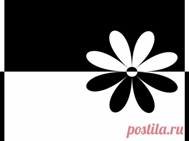 черное и белое картинки - 841 тыс. картинок. Поиск Mail.Ru