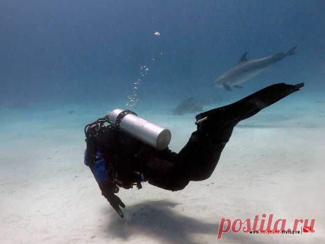 Дайвинг в Хургаде | Дайверы | Открыли сезон.