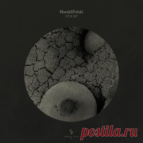 MarekSPolzki - XY2 [Counter Pulse]