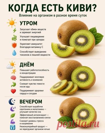Киви (влияние на организм в разное время суток)