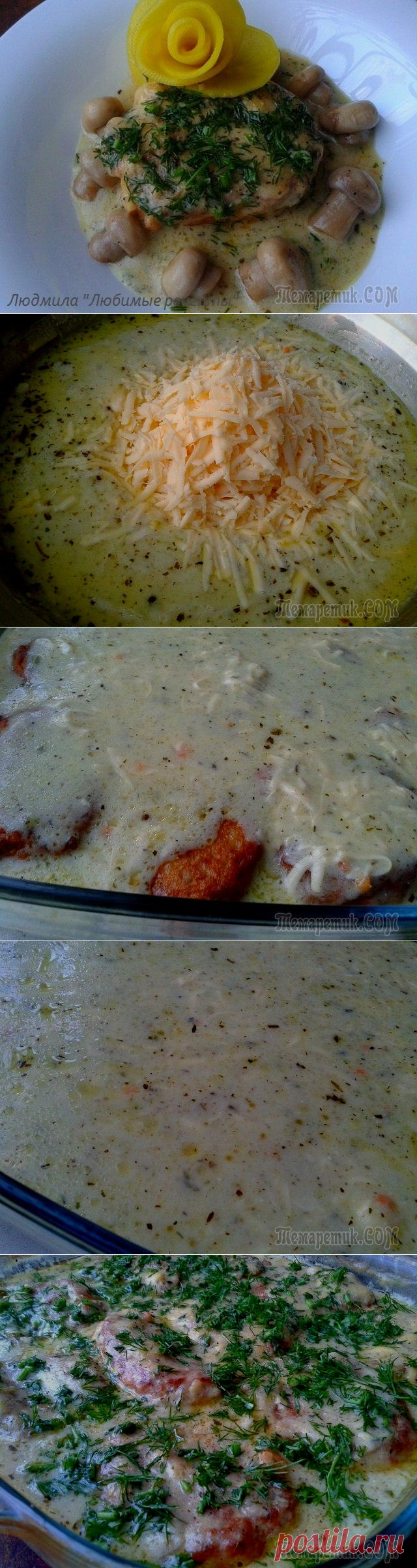 РЫБНЫЕ КОТЛЕТЫ ПОД СМЕТАННО-СЫРНЫМ СОУСОМ.