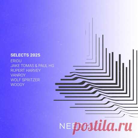 VA - Selects 2025 NEEDREC043 » MinimalFreaks.co
