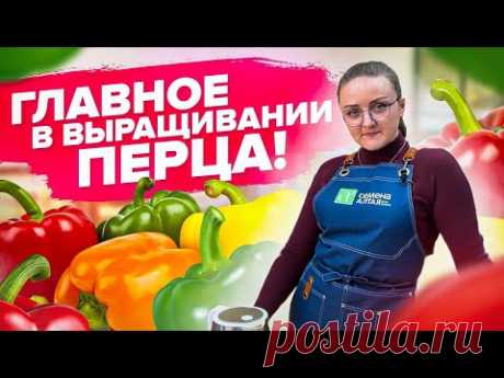 ВСЕ ЧТО НУЖНО ЗНАТЬ О ВЫРАЩИВАНИИ ПЕРЦА! Как посеять сладкий перец