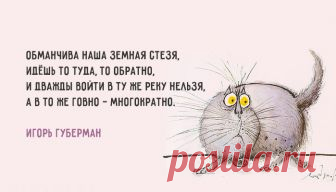 Игорь Губерман-подборка коротких стихотворений Игорь Губерман-подборка коротких стихотворений. Игорь Миронович Губерман, русско-израильский поэт, прославился благодаря своим афористичными
