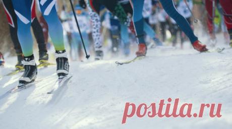 Кулешова выиграла скиатлон на этапе Кубка России по лыжным гонкам в Кирово-Чепецке. Анастасия Кулешова стала победительницей скиатлона на четвёртом этапе Кубка России по лыжным гонкам в Кирово-Чепецке. Читать далее