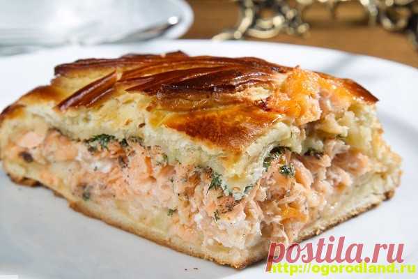 Пирог с лососем и грибами.
Слоеный пирог с начинкой из лосося с грибами приготовить совсем не сложно. Тесто для приготовления пирога понадобится слоеное, его можно купить готовое в магазине.