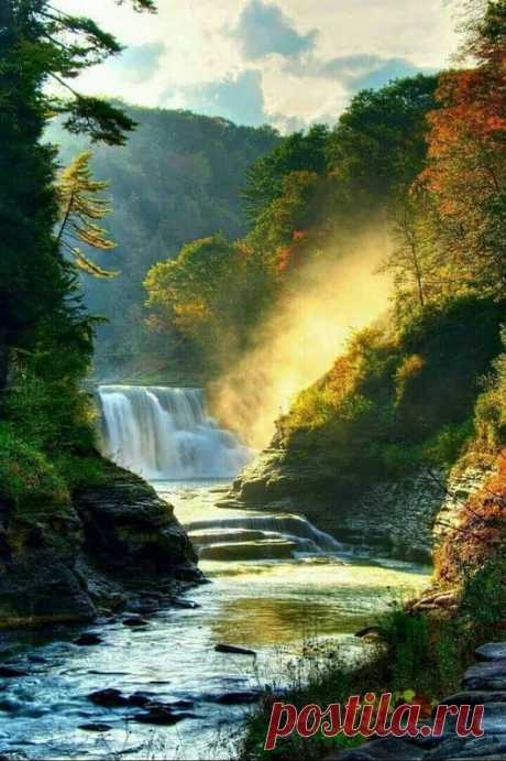 Google+