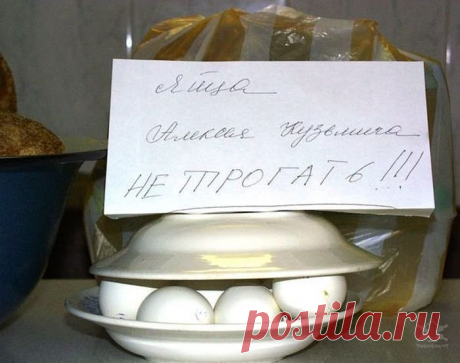 Жизнь общажная | Чёрт побери
