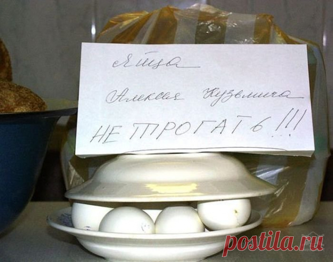 Жизнь общажная | Чёрт побери