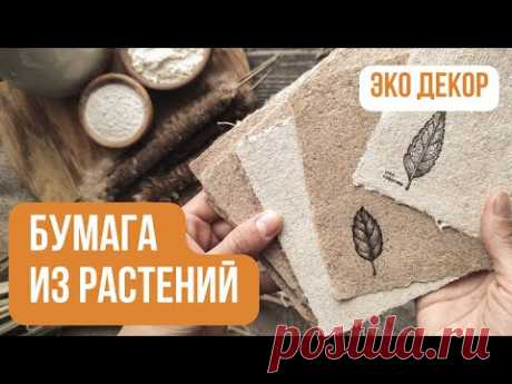 Делаем бумагу ручной работы ИЗ  РАСТЕНИЙ 🌿 | Бумага своими руками | Мастер-класс для начинающих