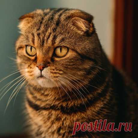 На тебя одна надежда - OGADANIE.RU