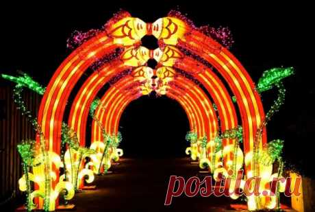 (3) Гороскоп на 2022 для всех знаков зодиака - Советы Народной Мудрости - 29 января - 43489880791 - Медиаплатформа МирТесен