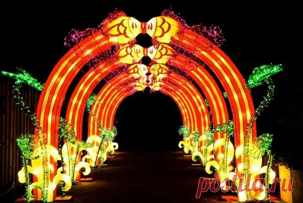 (3) Гороскоп на 2022 для всех знаков зодиака - Советы Народной Мудрости - 29 января - 43489880791 - Медиаплатформа МирТесен