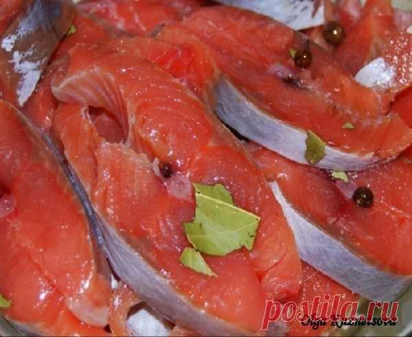 Соленая горбуша в масле с луком  Соленая горбуша в масле с луком 

В этом рецепте вы узнаете как засолить быстро рыбу и уже через час её можно будет кушать. Это безусловно вкусная засоленная рыба, попробуйте и убедитесь сами, это весьма оригинально. Рассмотрим, как засолить рыбу:

Ингредиенты:

Горбуша (свежемороженая) – 2 шт
Вода – 1 л
Соль – 5 ст. л.
Масло растительное (нерафинированное подсолнечное) — 150 мл
Лук репчатый — 1 шт


Приготовление:

Выпотрошенную рыбу режем...