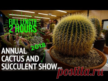 #93 The 2018 Cactus and Succulent Society of Australia Competition | FULL VIDEO