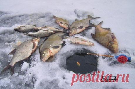 Оснастка зимней поплавочной удочки / Богатая добыча
