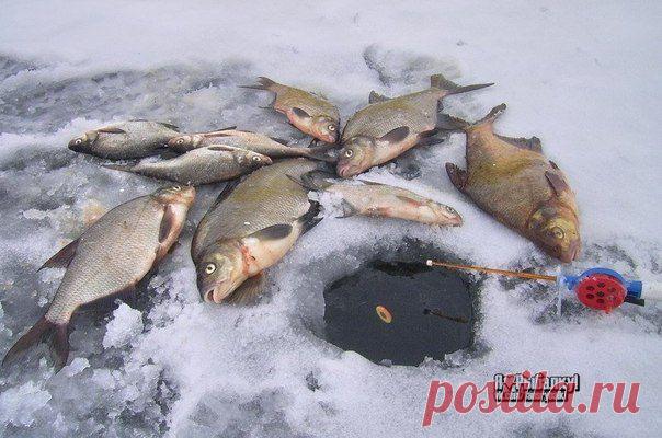 Оснастка зимней поплавочной удочки / Богатая добыча
