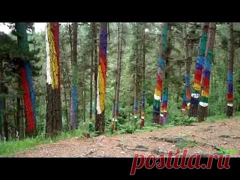 Сказочный лес Ома - Коста Бланка по-русски