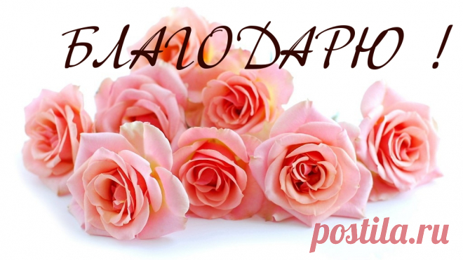Дорогие и близкие, любимые мои!