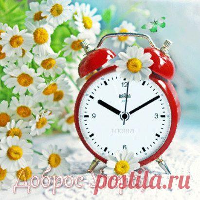 (15) Одноклассники