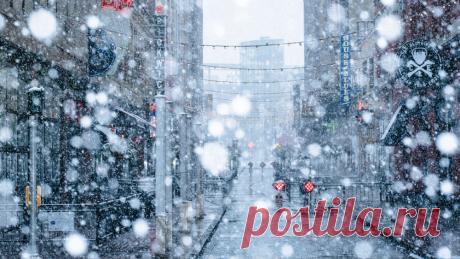 «Снег этого года» (Юрий Левитанский)