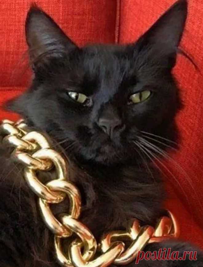 Позер