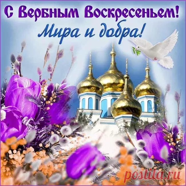 С Вербным Воскресеньем! Пусть в преддверье Пасхи
С вербочкою счастье посетит твой дом
И его наполнит добротой и лаской,
Чтоб уютно было и отрадно в нем!