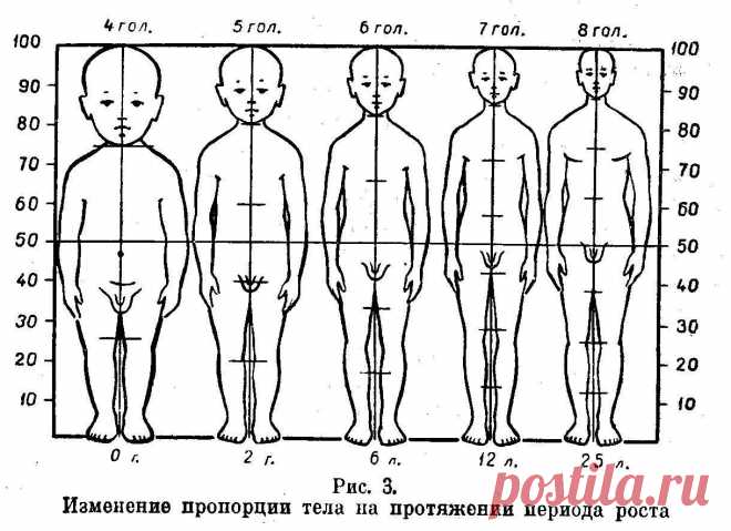 соотношение головы к туловищу в куклах: 2 тыс изображений найдено в Яндекс Картинках
