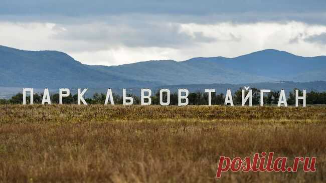 Евросоюз блокирует поставку новых животных в крымский сафари-парк