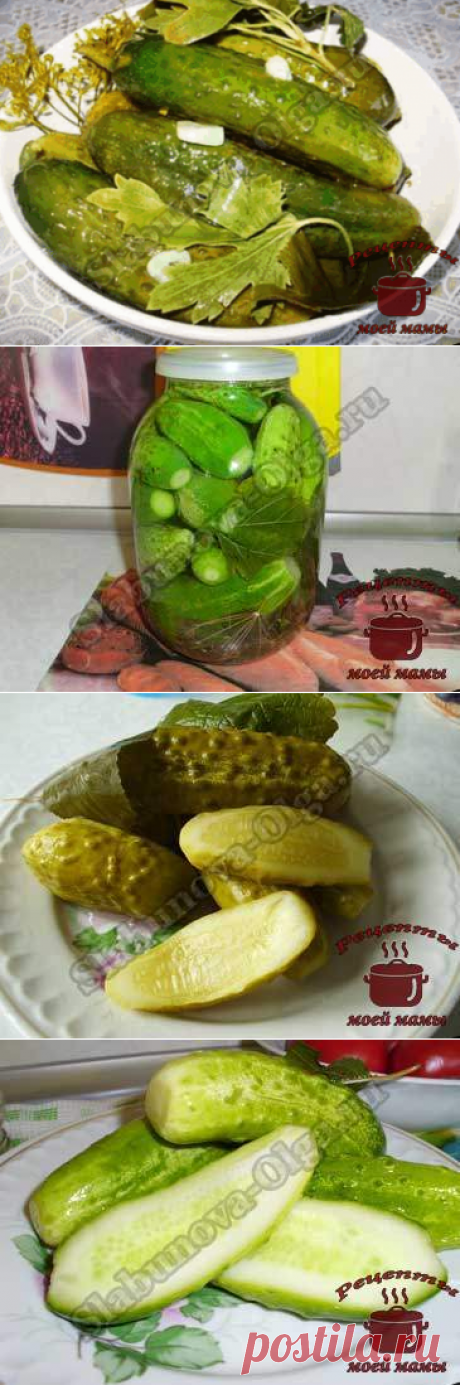 Малосольные огурцы. Рецепт. Фото