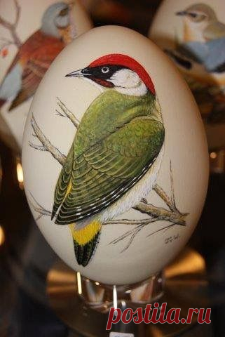 Dies enthält ein Bild von: {{ pinTitle }}