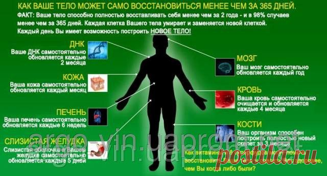 Прибор Арго Рофэс (Rofes). Диагностика тестирование организма. Товары и услуги компании "Компания "Арго-Украина в Виннице" Оригинальная продукция (Полимедэл, Байкал Эм1, Ляпко, Ad Medicine)"
