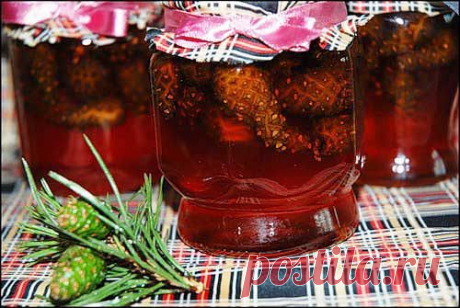 Варенье из еловых шишек