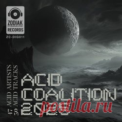 VA - Acid Coalition 2025 (2025) Artist: VA Album: Acid Coalition 2025 Year: 2025 Country: Netherlands Style: Electro