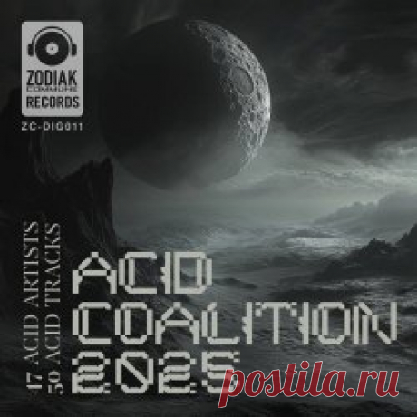 VA - Acid Coalition 2025 (2025) Artist: VA Album: Acid Coalition 2025 Year: 2025 Country: Netherlands Style: Electro