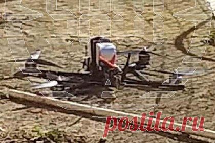 Стало известно о падении дрона с примотанной к нему коробкой в Подмосковье. Жительница Подмосковья нашла упавший беспилотный летательный аппарат (БПЛА) на своем земельном участке. Об этом сообщает Telegram-канал Shot. Инцидент произошел в СНТ «Жемчужина» деревни Поповка Раменского городского округа. По предварительным данным, квадрокоптер имеет размеры примерно 50 на 50 сантиметров.