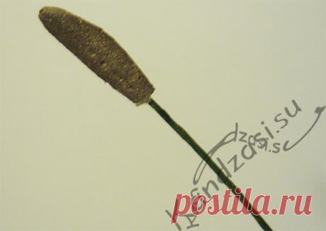 Как сделать тычинки тюльпана из фоамирана Простой способ изготовления тычинок тюльпана из фоамирана, подробные фото.