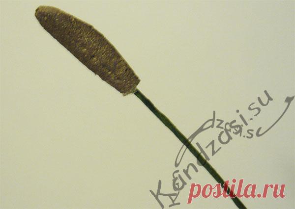 Как сделать тычинки тюльпана из фоамирана Простой способ изготовления тычинок тюльпана из фоамирана, подробные фото.