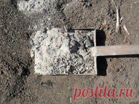 Зола для почвы