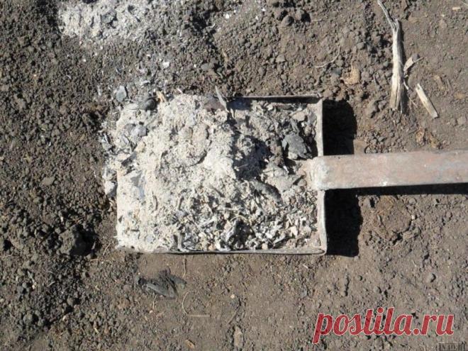 Зола для почвы