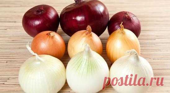 Лук дробит камешки и выводит из организма
Ледкова Галина Ивановна: рецепт действительно уникальный, оставшийся от мамы, работавшей врачом-гомеопатом в Московской Кремлевской больнице. Эффективен и прост в применении.
2 кг репчатого лука очистить от шелухи. Мелко порезать или крупно натереть. Смешать с 2 кг сахарного песка.
Томить два часа на
медленном огне, помешивая, чтобы не пригорел. Вместо кастрюли прекрасно томить в скороварке. Получается 2 – 2,5 л янтарной массы. Разложить по банкам. Одн