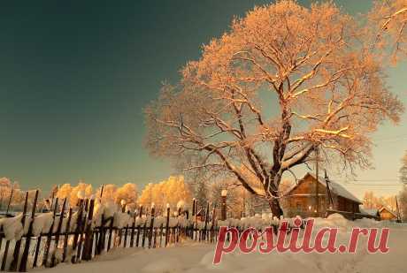 В деревне вечереет... Питерская губерния.. Photographer www.klimofoto.ru