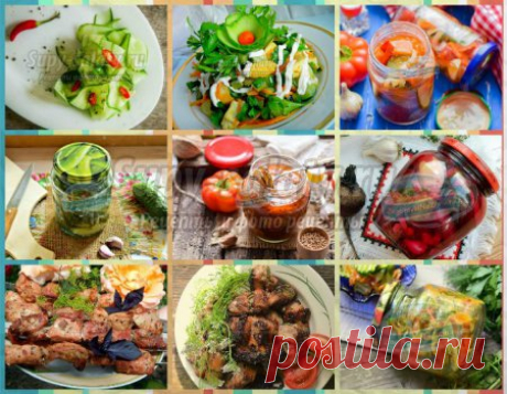 Рецепты вкусного шашлыка +  20 самых вкусных рецептов с огурцами + заготовки из огурцов на зиму!