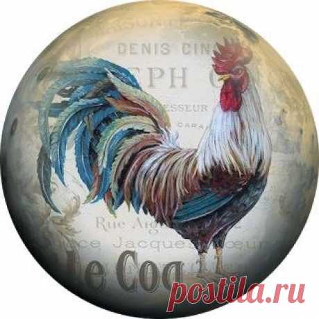 Диана Январева