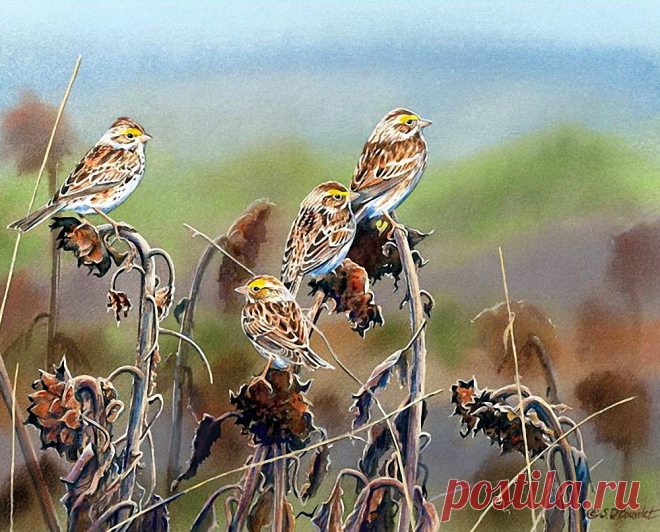 Пенье птиц... Художница Сьюзен Бордет (Susan Bourdet).